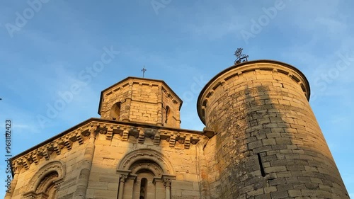 Swifts Flying