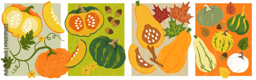 Pumpkins collection. Vector Illustrations