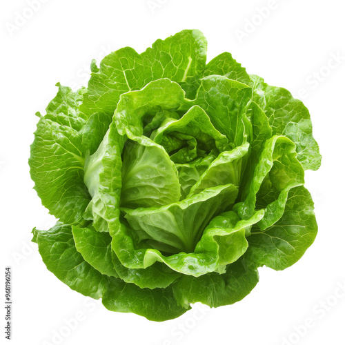 Fresh green lettuce head on white background, transparent