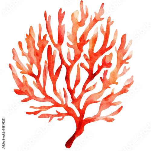 Fototapeta Naklejka Na Ścianę i Meble -  Colorful coral reef plant illustration, transparent