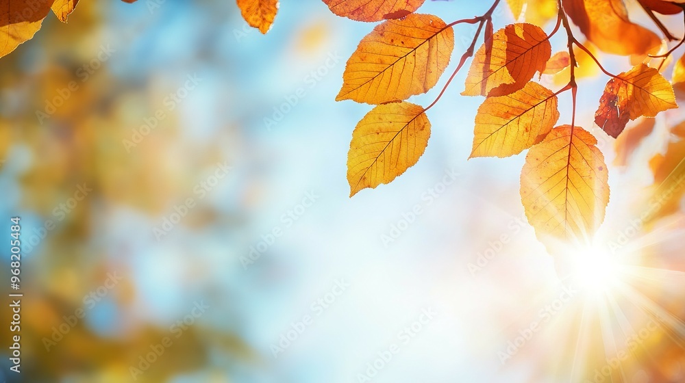 Golden Autumn Leaves Against a Sunlit Sky Golden Autumn Leaves Against a Sunlit Sky