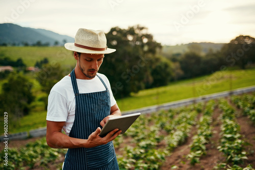 Agriculture, sustainability and tablet with man on farm to research or study growth of organic crops. Agribusiness, countryside and internet with person outdoor on field for development of nature