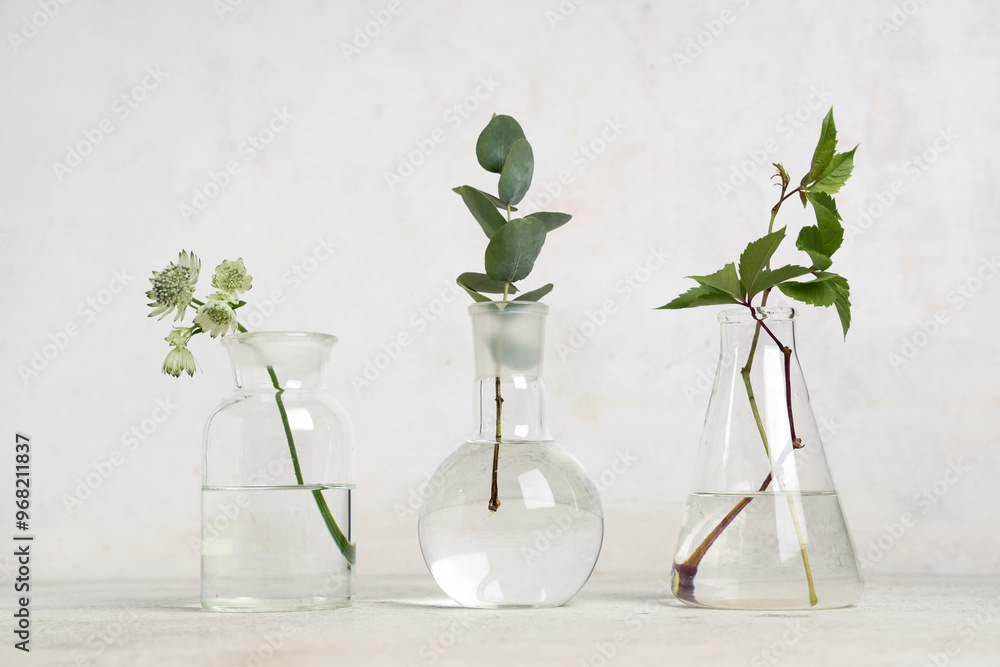 Laboratory glassware with herbs and plants on grunge white background Laboratory glassware with herbs and plants on grunge white background
