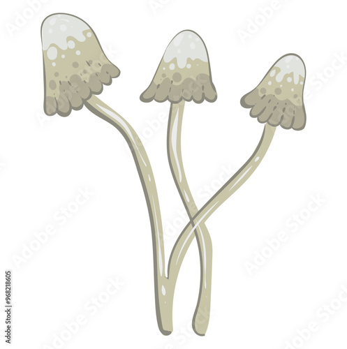 Death cap mushroom for Halloween. Trendy flat style magic mushroom isolated on white. Vector illustration of forest poisonous mushroom.