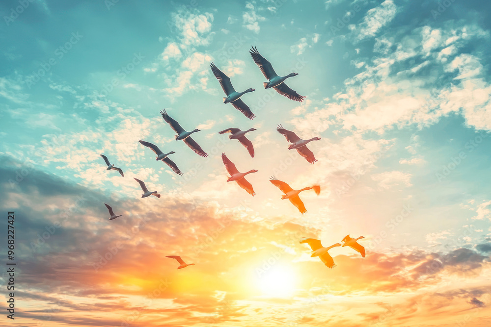 Naklejka premium Flock of geese flying in the sky.