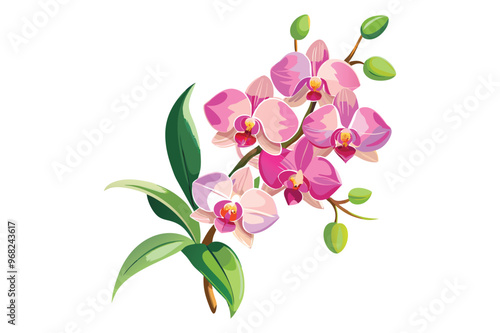 Watercolor orchid flower branch illustration