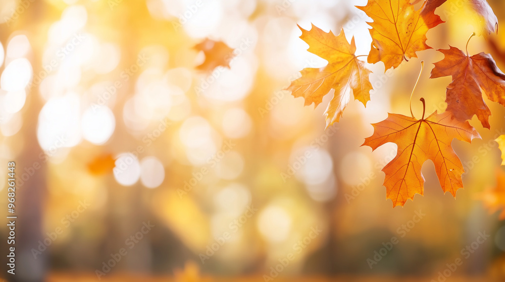 Softly blurred autumn scene with falling maple leaves, warm orange and yellow tones, tranquil forest, soft ambient lighting, peaceful fall atmosphere Softly blurred autumn scene with falling maple leaves, warm orange and yellow tones, tranquil forest, soft ambient lighting, peaceful fall atmosphere
