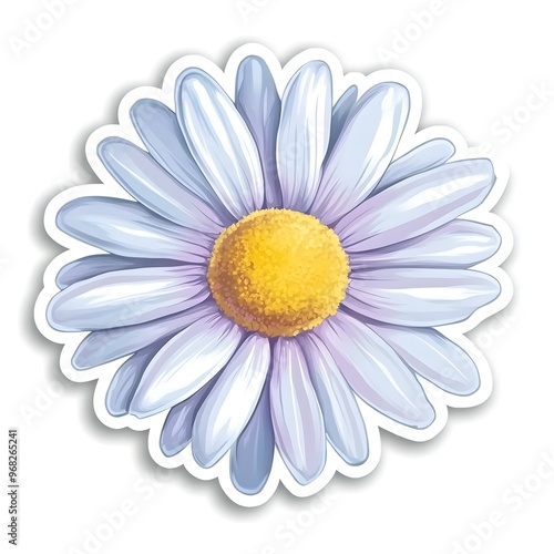 Vibrant White and Purple Daisy Flower in Bloom
