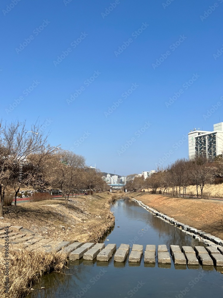 Fototapeta premium river in the spring, south korea