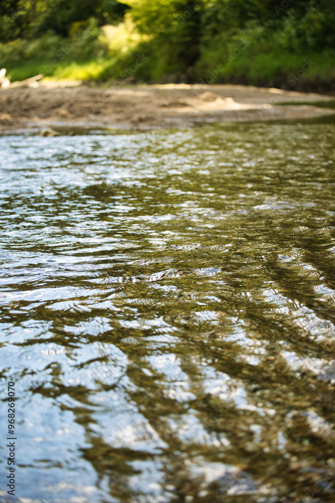 Obraz premium river in the forest