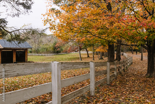 orange fall park walk path