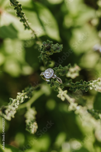 Engagement ring on green plant
