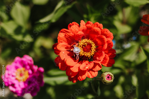 Close up engagement ring Zinnia