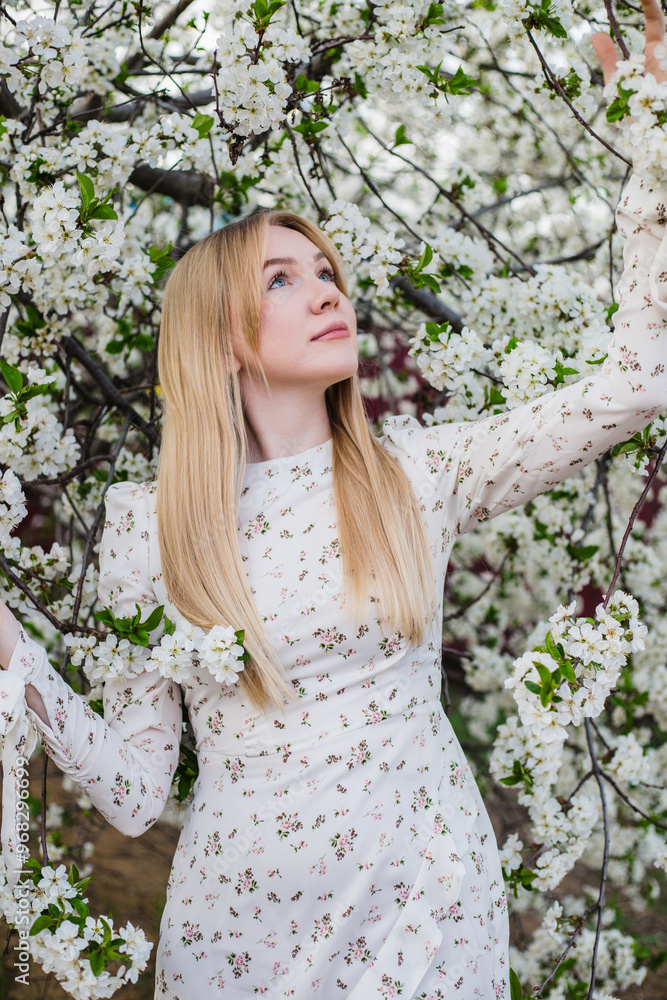 Beautiful blonde woman in a spring cherry blossom garden. Cover photo Beautiful blonde woman in a spring cherry blossom garden. Cover photo