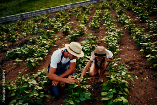 Photos Father, daughter and work on farm for bonding, talking and development with agriculture sustainability