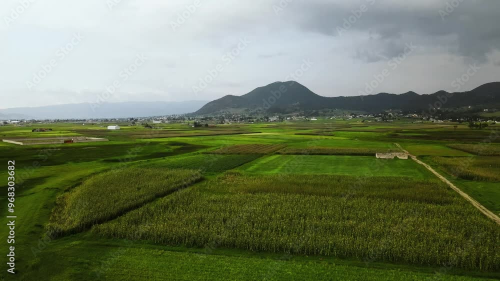 Aerial video in 4k taken with a drone, of the Ixtlahuaca State of Mexico countryside, where mountains, cornfields, and old houses can be seen. Aerial video in 4k taken with a drone, of the Ixtlahuaca State of Mexico countryside, where mountains, cornfields, and old houses can be seen.