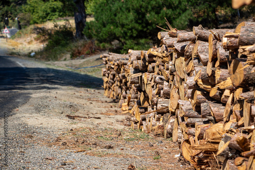 Pile of chopped firewood in forest. Firewood stacked on top of each other. Pile of sawn tree trunks on the road, ready for winter. Woodpile of cut tree trunks in pine forest. 