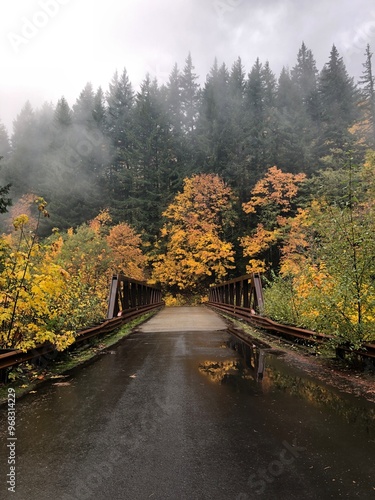 View of a bridge on a rainy, foggy day surrounded by colorful fall foliage with evergreens in the background