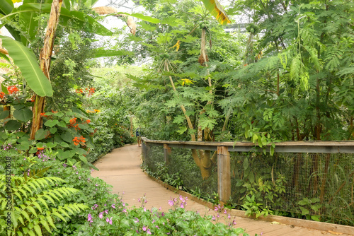 View inside the Eden Project, Cornwall, UK photo