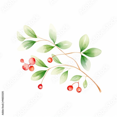 A delicate watercolor illustration of a branch with green leaves and red berries, perfect for nature-themed designs.