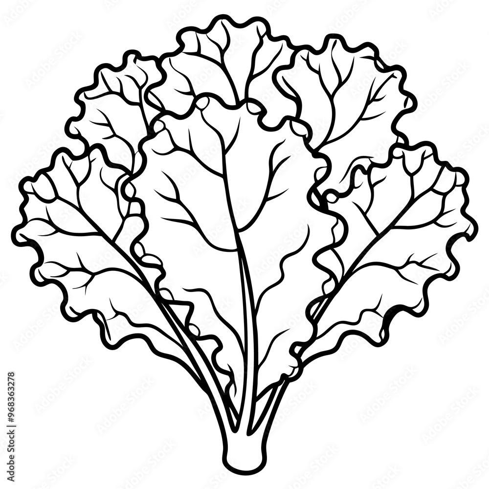 kale vegetable outline coloring book page line art illustration digital drawing kale vegetable outline coloring book page line art illustration digital drawing