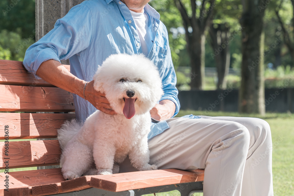 Φωτογραφία 犬の散歩をする愛犬家の中高年男性・ドッグセラピー
