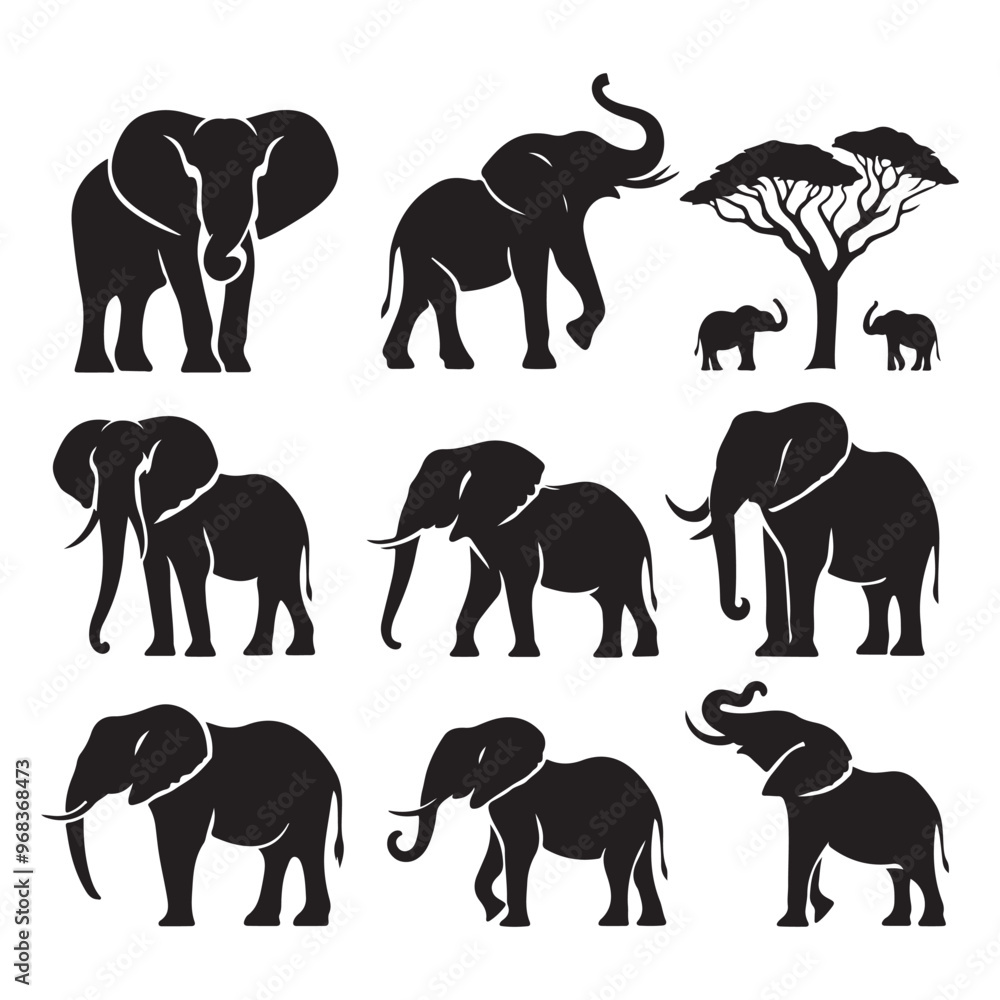 Naklejka premium Set of elephant silhouettes isolated on a white background, Vector illustration.