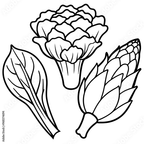 mustard greens bok choy artichokes vegetables outline coloring book page line art illustration digital drawing