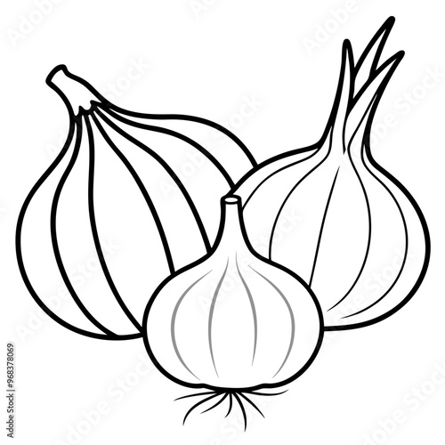 onions garlic leeks vegetables outline coloring book page line art illustration digital drawing