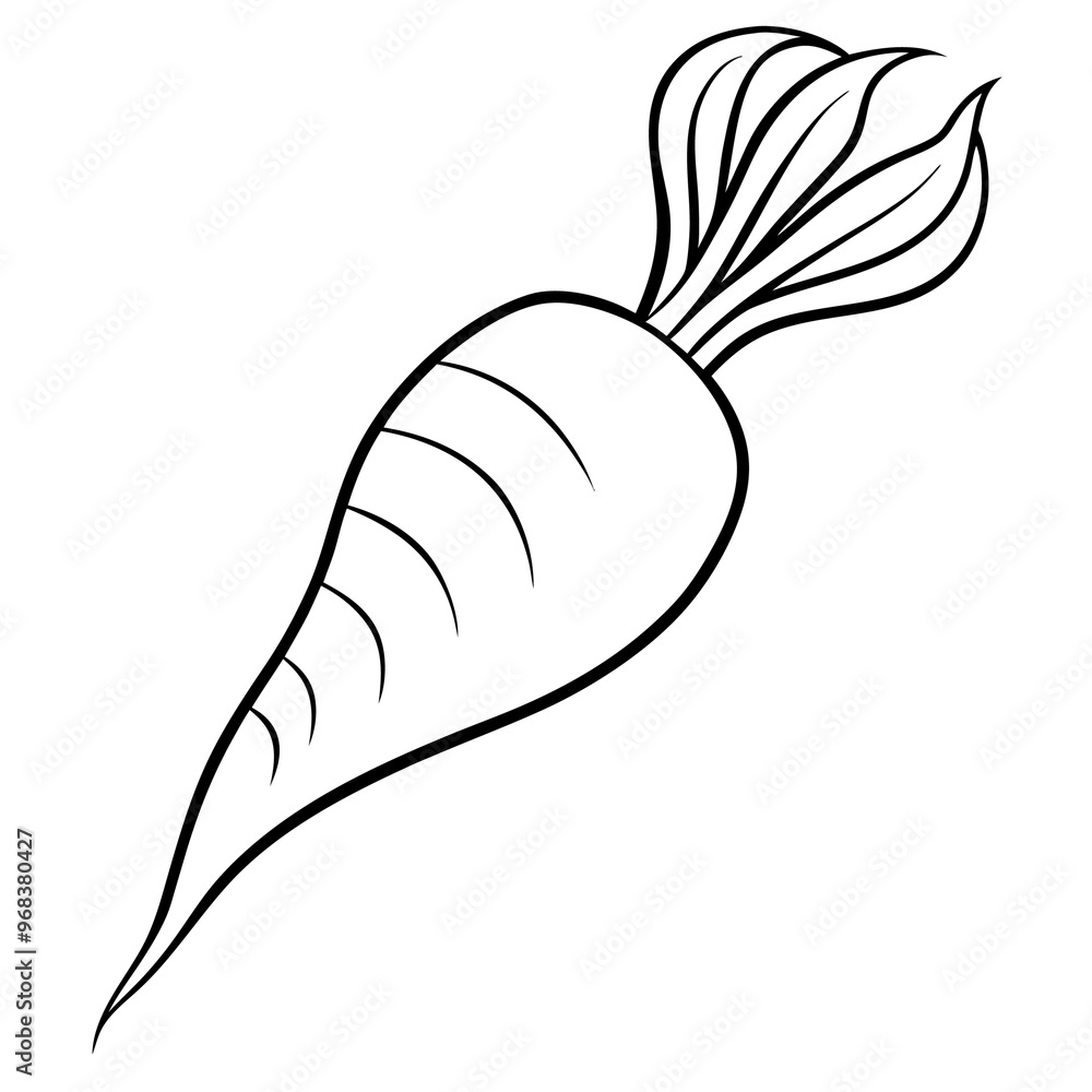 parsnips vegetable outline coloring book page line art illustration digital drawing parsnips vegetable outline coloring book page line art illustration digital drawing