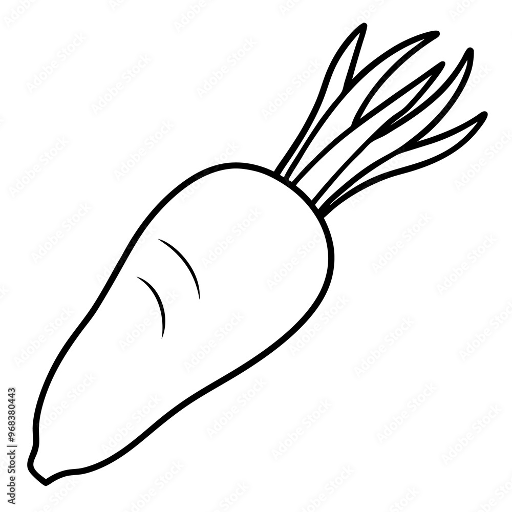 parsnips vegetable outline coloring book page line art illustration digital drawing parsnips vegetable outline coloring book page line art illustration digital drawing