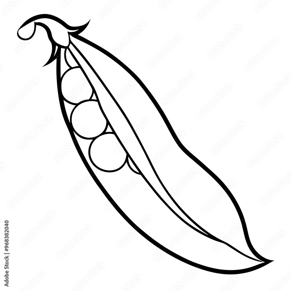 peas vegetable outline coloring book page line art illustration digital drawing peas vegetable outline coloring book page line art illustration digital drawing