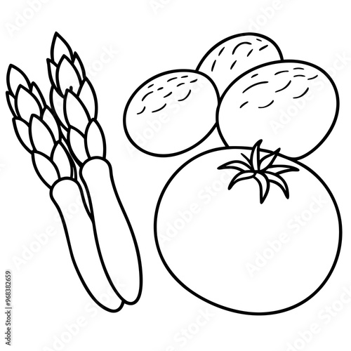 potatoes tomatoes asparagus vegetables outline coloring book page line art illustration digital drawing