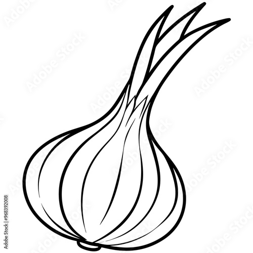 scallions vegetable outline coloring book page line art illustration digital drawing