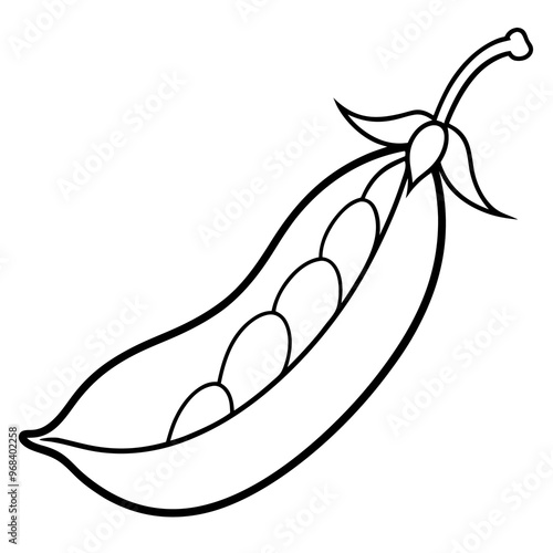 snow peas vegetable outline coloring book page line art illustration digital drawing