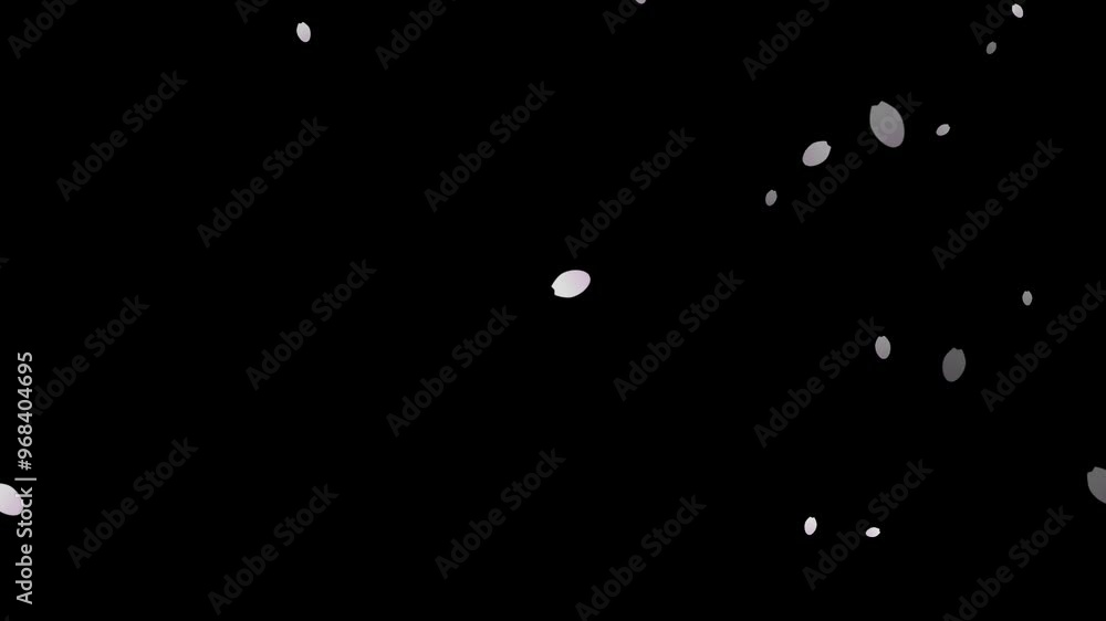 Animation of falling cherry blossom petals with Alpha Channel Animation of falling cherry blossom petals with Alpha Channel