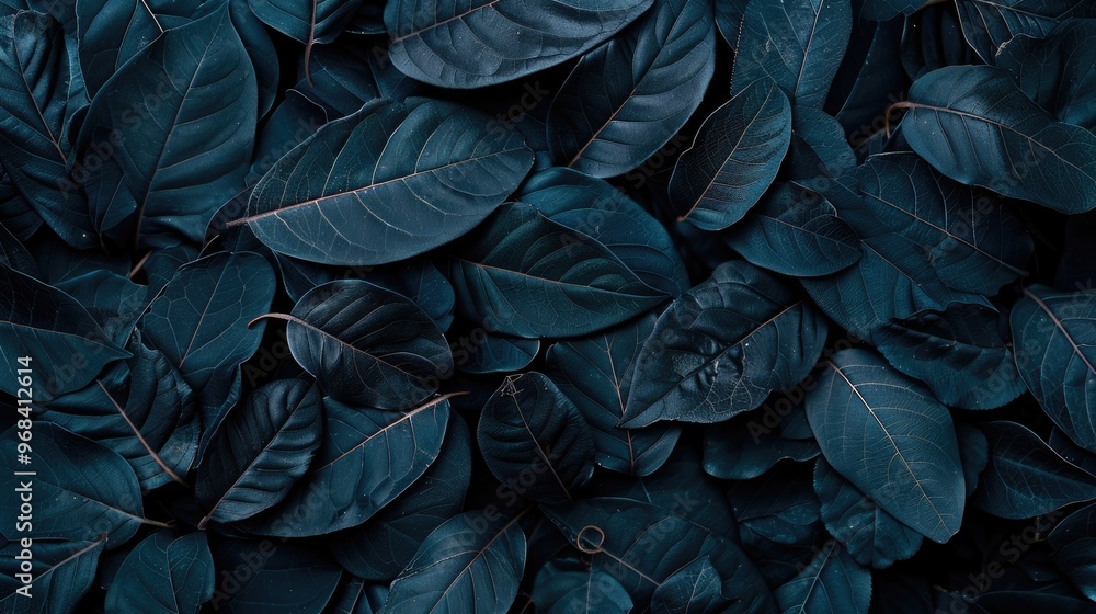 Deep Teal Leaves: A Textured Natural Background Deep Teal Leaves: A Textured Natural Background