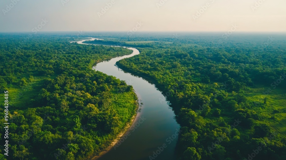 Aerial view of a winding river surrounded by lush green forest. Aerial view of a winding river surrounded by lush green forest.