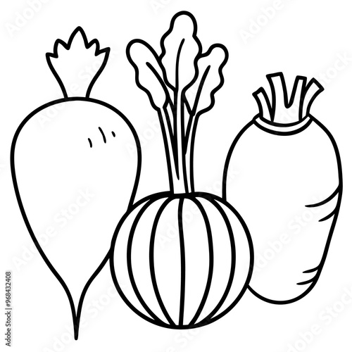 turnips parsnips butternut squash vegetables outline coloring book page line art illustration digital drawing