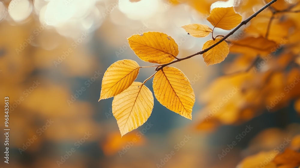 Golden Autumn Leaves on a Branch Against a Softly Focused Background Golden Autumn Leaves on a Branch Against a Softly Focused Background