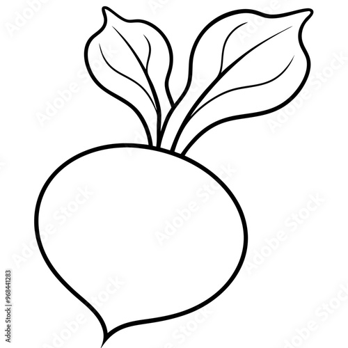 turnips vegetable outline coloring book page line art illustration digital drawing