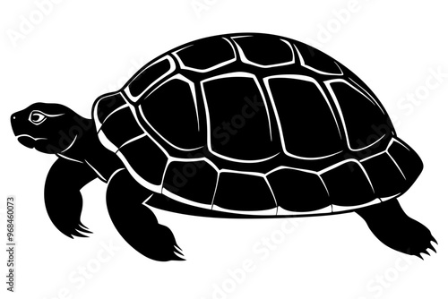 tortoise icon vector, tortoise illustration,tortoise silhouette