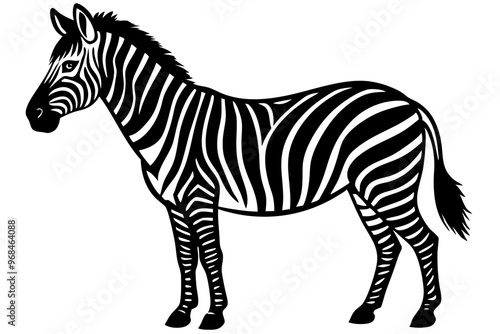 zebra animal, zebra illustration white background