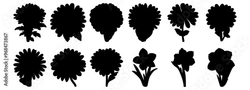 Flower silhouettes set, pack of vector silhouette design, isolated background