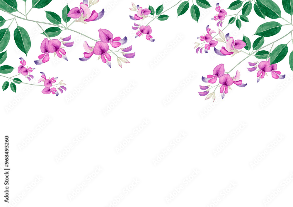 萩 秋の花 背景 フレーム 水彩 イラスト 萩 秋の花 背景 フレーム 水彩 イラスト