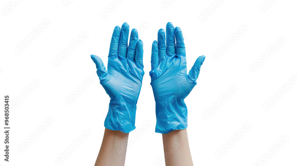 Hands wearing a blue latex glove on transparent background Hands wearing a blue latex glove on transparent background