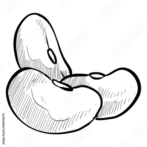 soybeans handdrawn illustration