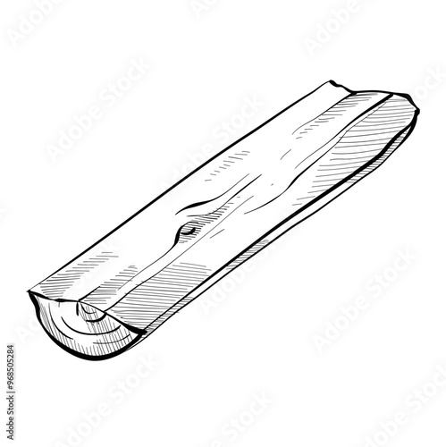 wood handdrawn illustration