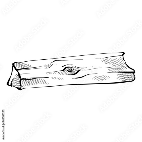 wood handdrawn illustration