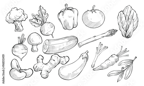 healthy vegetables handdrawn collection
